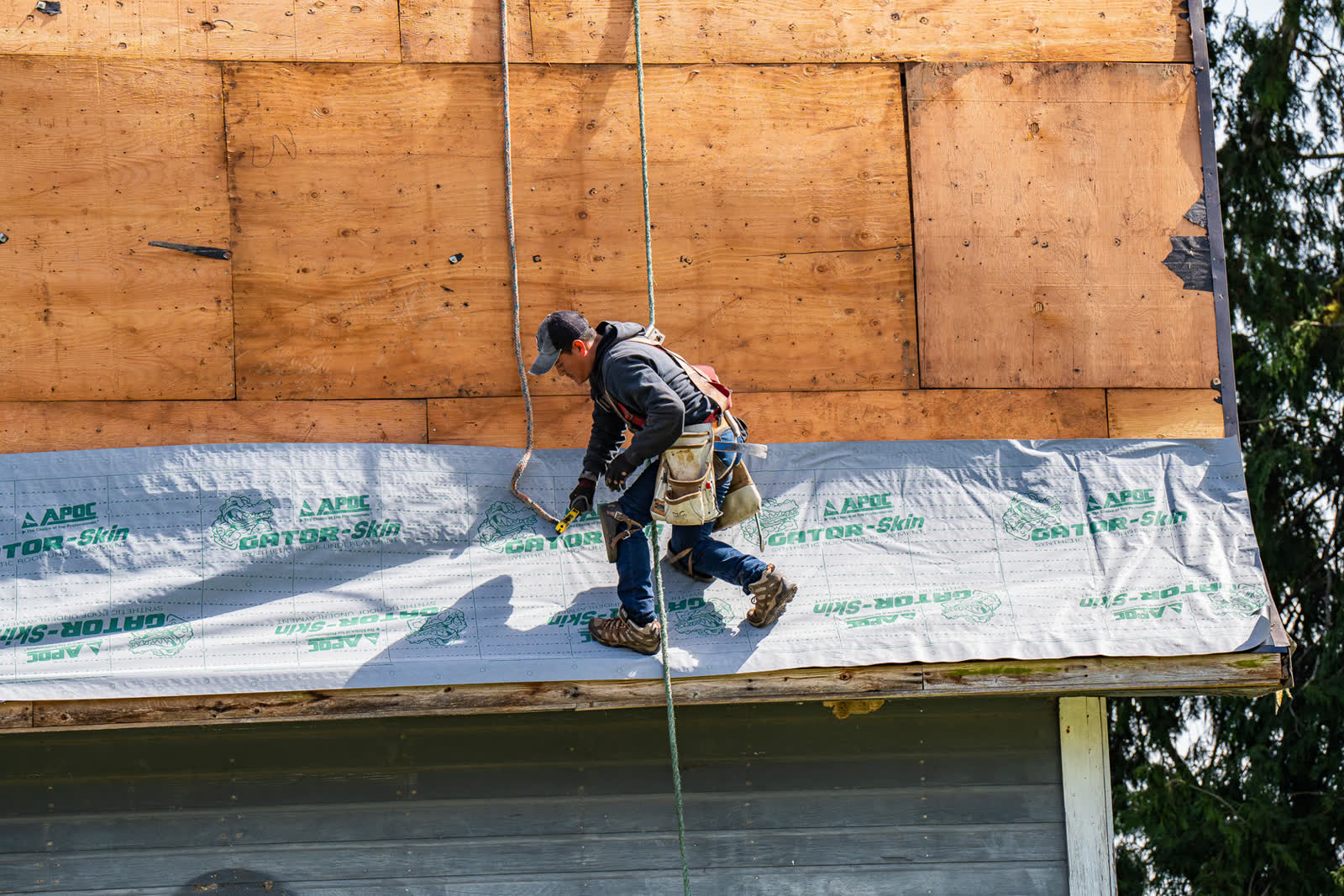 Historic Barn Roof Replacement - Image 3
