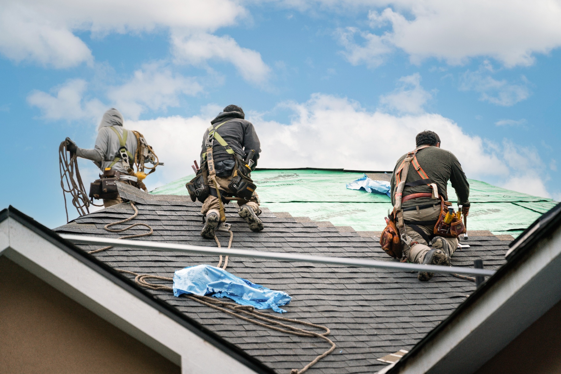 Roof Replacement - Image 6
