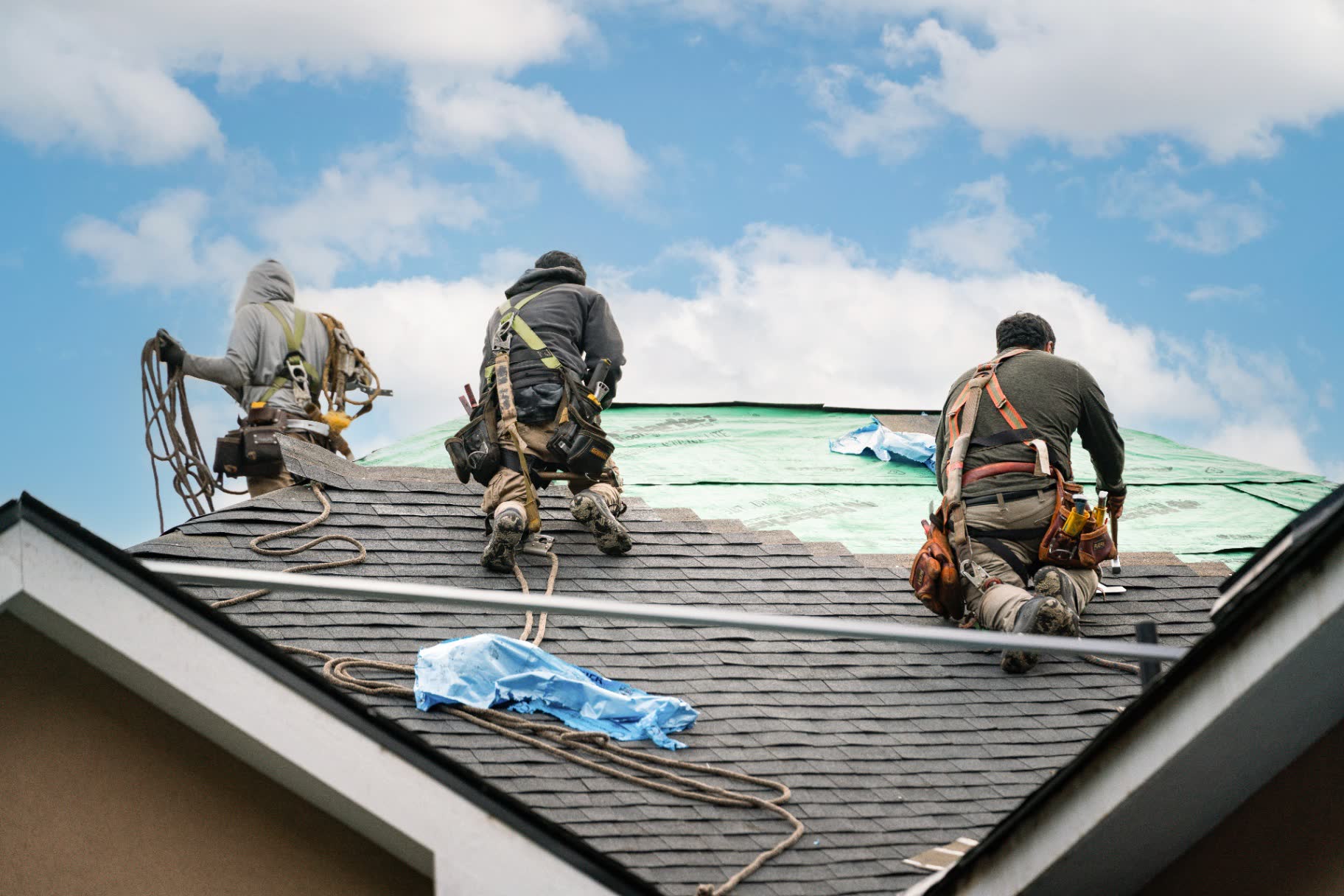 Roof Replacement - Image 6
