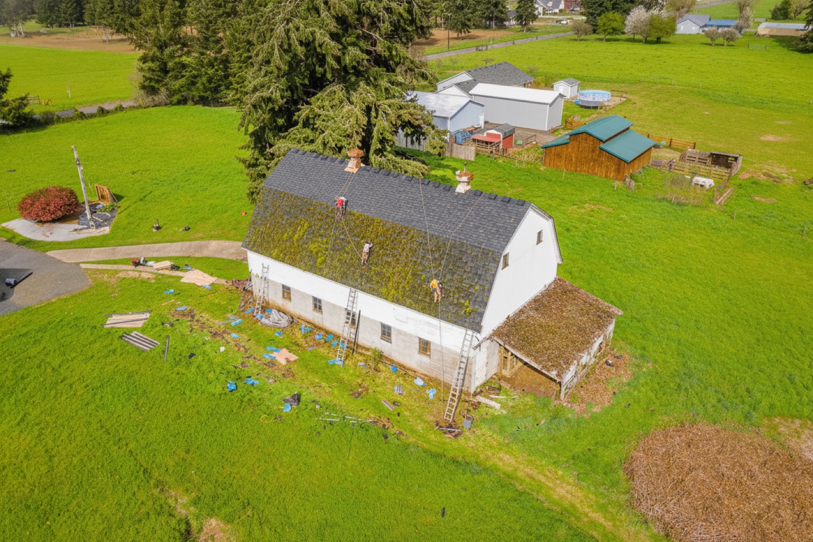 Roofer replacing shingles on a moss-edged asphalt roof in Southwest Washington under an overcast sky